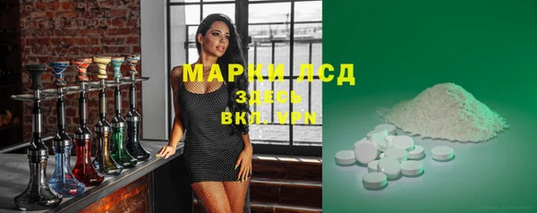 ALPHA PVP Елизово