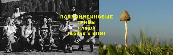 спиды Елабуга