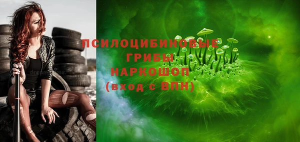 скорость Ельня