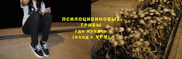 скорость Ельня