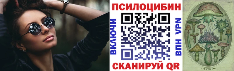 Купить закладки  Собинка  Псилоцибиновые грибы Psilocybine cubensis 