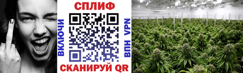 Бошки Шишки сатива  Купить закладки  Собинка 